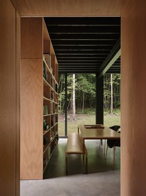 Spinone House