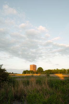 Nelson Residential Tower