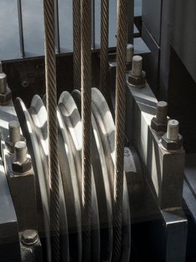 Paris Fondation Cartier For Contemporary Art