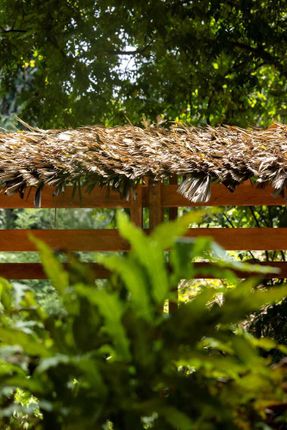 Educational Area Of The Exhibition 'a River Does Not Exist Alone'