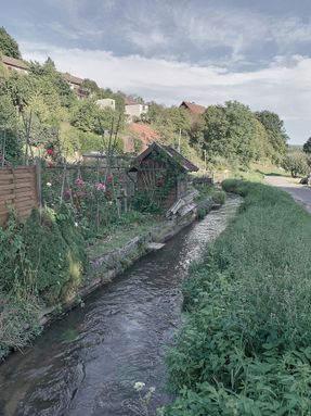 Form Follows Sheep House