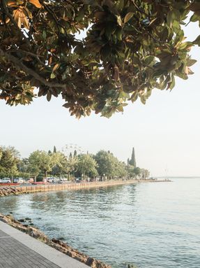 Palazzo Vittoria Building Renovation