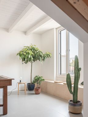 Palazzo Vittoria Building Renovation