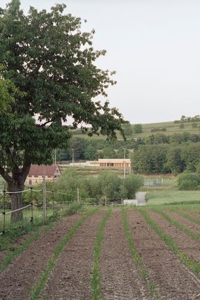 Willgottheim–Woellenheim Multipurpose Hall