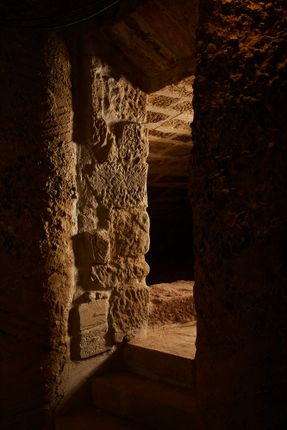 Archive Of The Future