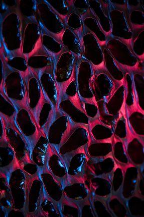 Archive Of The Future