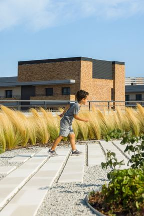 Oriente Green Campus