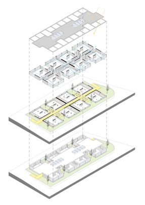 Pako Street Animal Social Life Campus