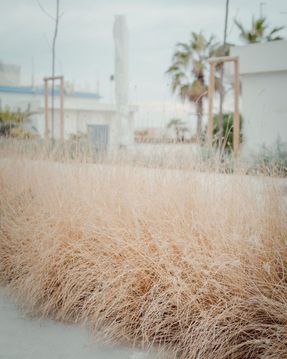 Gabicce Mare Seaside Promenade