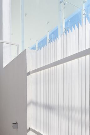 Complejo Habitacional Y Comercial Camellia