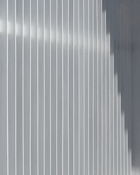 Complejo Habitacional Y Comercial Camellia