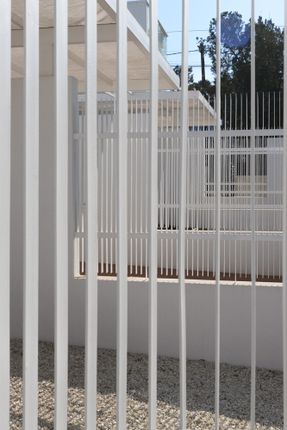 Complejo Habitacional Y Comercial Camellia