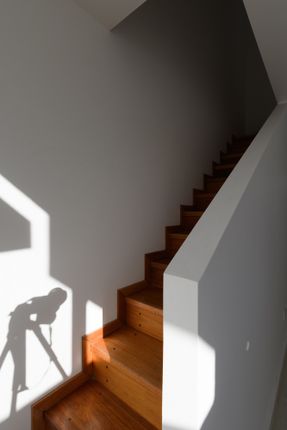 Complejo Habitacional Y Comercial Camellia