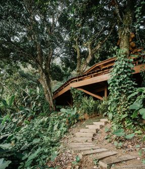 Fig Tree House