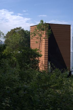 Temple Of Darkness Bakhoor Bakhoor Pavilion