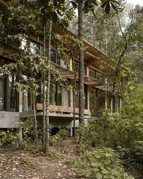 House In The Forest