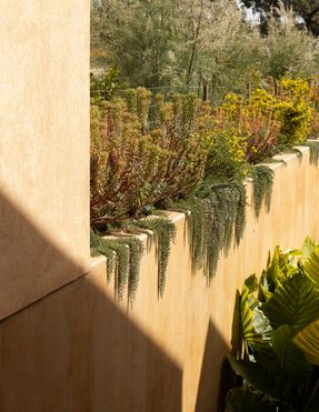 Canal Beach Nature Resort