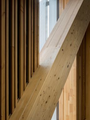 Træ High-rise Building