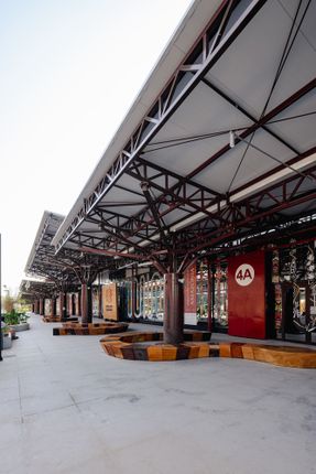 Museum Of The Amazon