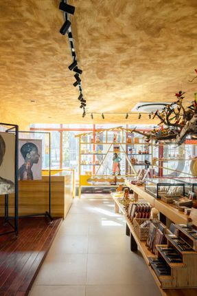 Museum Of The Amazon