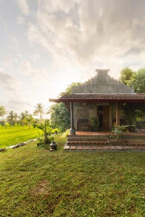 Kalam By Paddy House