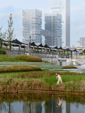 A Reborn Scenic Field Above Waves