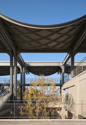 A Reborn Scenic Field Above Waves