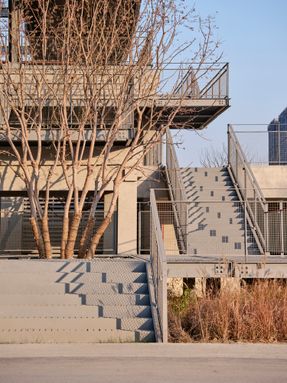 A Reborn Scenic Field Above Waves