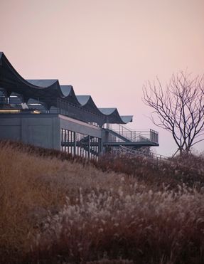 A Reborn Scenic Field Above Waves