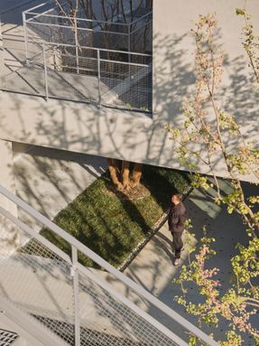 A Reborn Scenic Field Above Waves