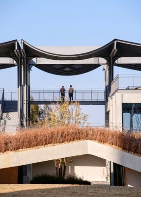 A Reborn Scenic Field Above Waves