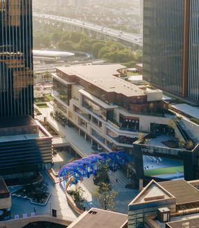 The Blue Rotary Membrane Bridge