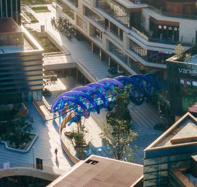 The Blue Rotary Membrane Bridge