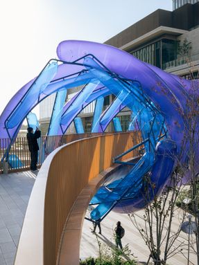 The Blue Rotary Membrane Bridge