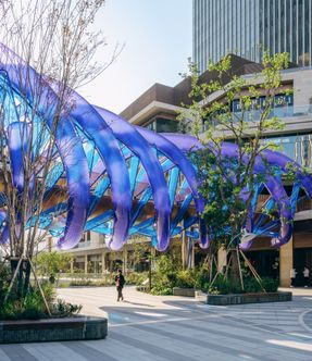 The Blue Rotary Membrane Bridge