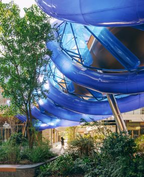 The Blue Rotary Membrane Bridge