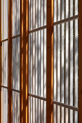 Vizafogó Kindergarten Budapest