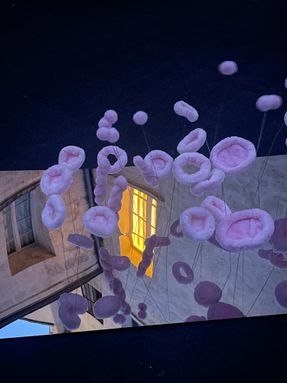 The Tasting Tongue - Art Installation