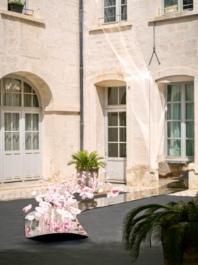 The Tasting Tongue - Art Installation