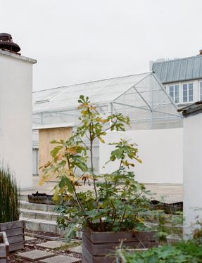 An Educational Farm On The Roof