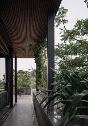 MS House