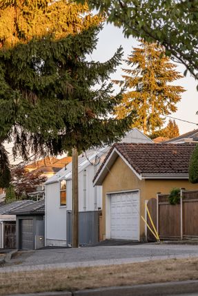 Anzio Laneway House