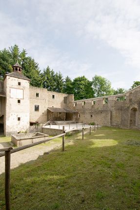 Castle Ruin Reichenau