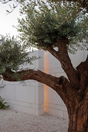 Tneib House