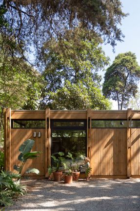 Forest Shelter