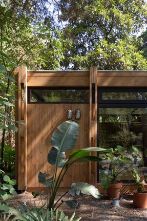 Forest Shelter