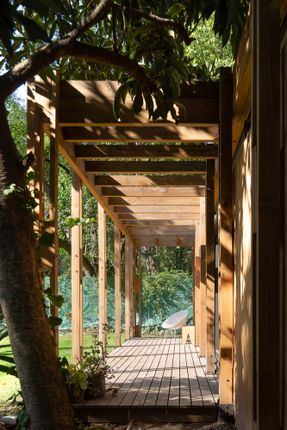 Forest Shelter