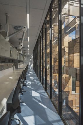 Faculty Of Sciences - Pontifical Xavierian University