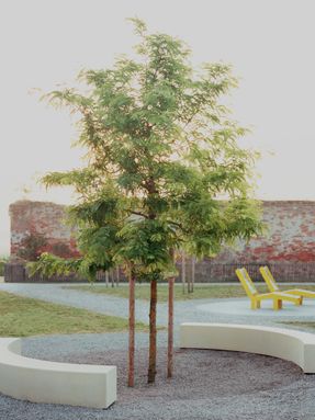 Green Kilometer Public Park