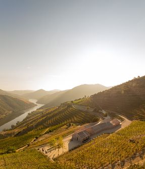 Adorigo Farm Winery